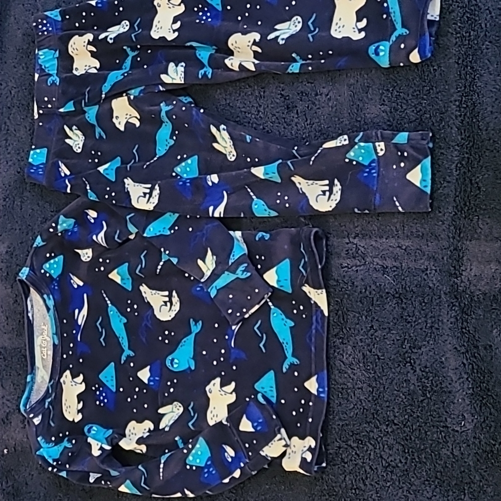 Pajamas 2 Piece